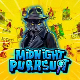 Midnight Purrsuit