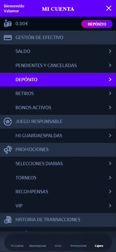 Desde el menú lateral podremos consultar los métodos de pago, herramientas de autoexclusión, estadísticas, etc.