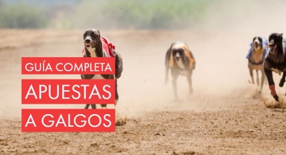 Apuestas de Galgos: Tipos, dónde apostar y consejos para ganar